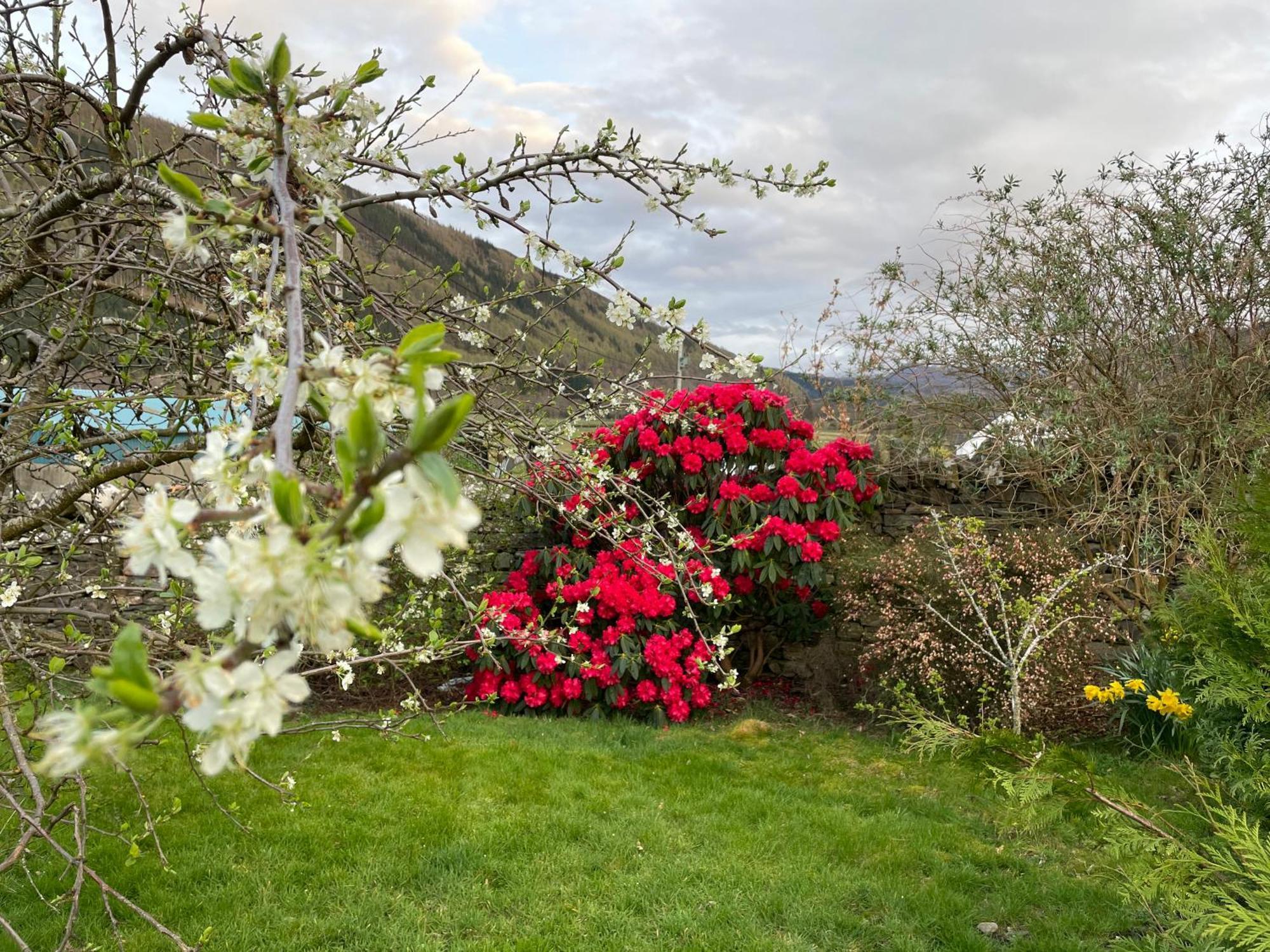 Clachan Garden B&B Гарв Екстериор снимка